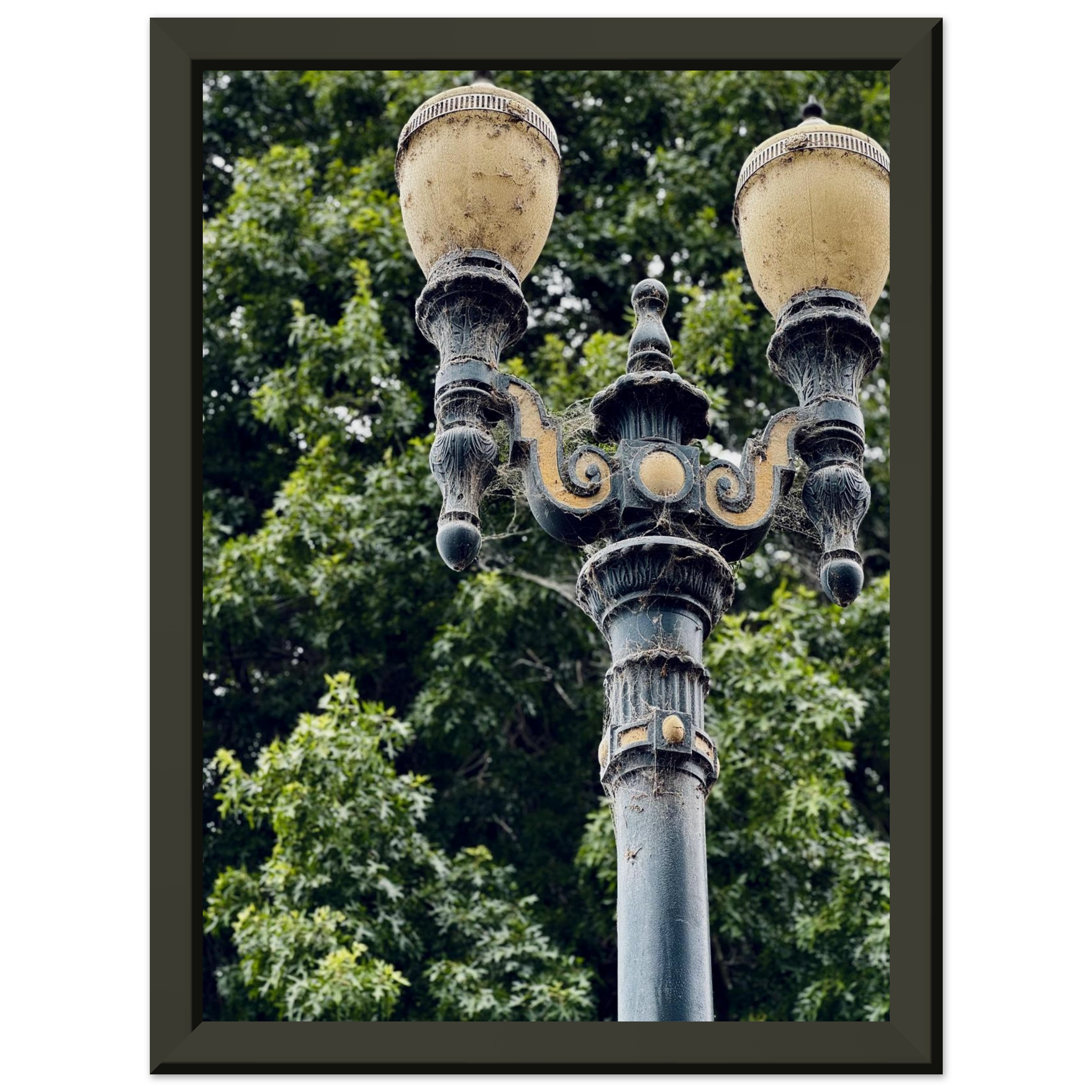 6084be12-d6e0-49a0-b8ba-5ebf645a5deb